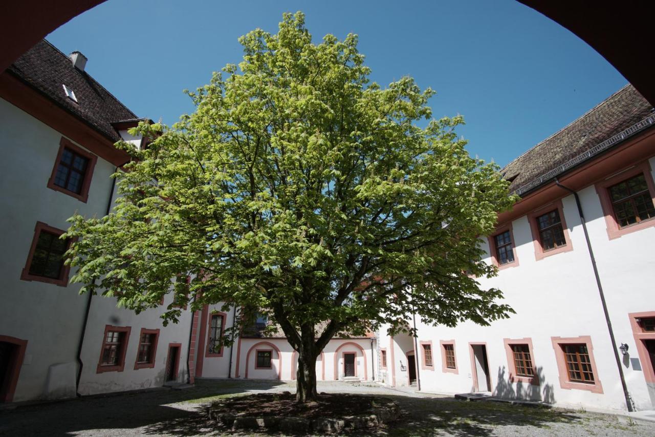 Hotel & Tagungszentrum Schloss Hohenfels Hohenfels  Esterno foto