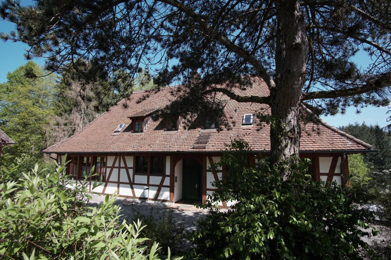Hotel & Tagungszentrum Schloss Hohenfels Hohenfels  Esterno foto