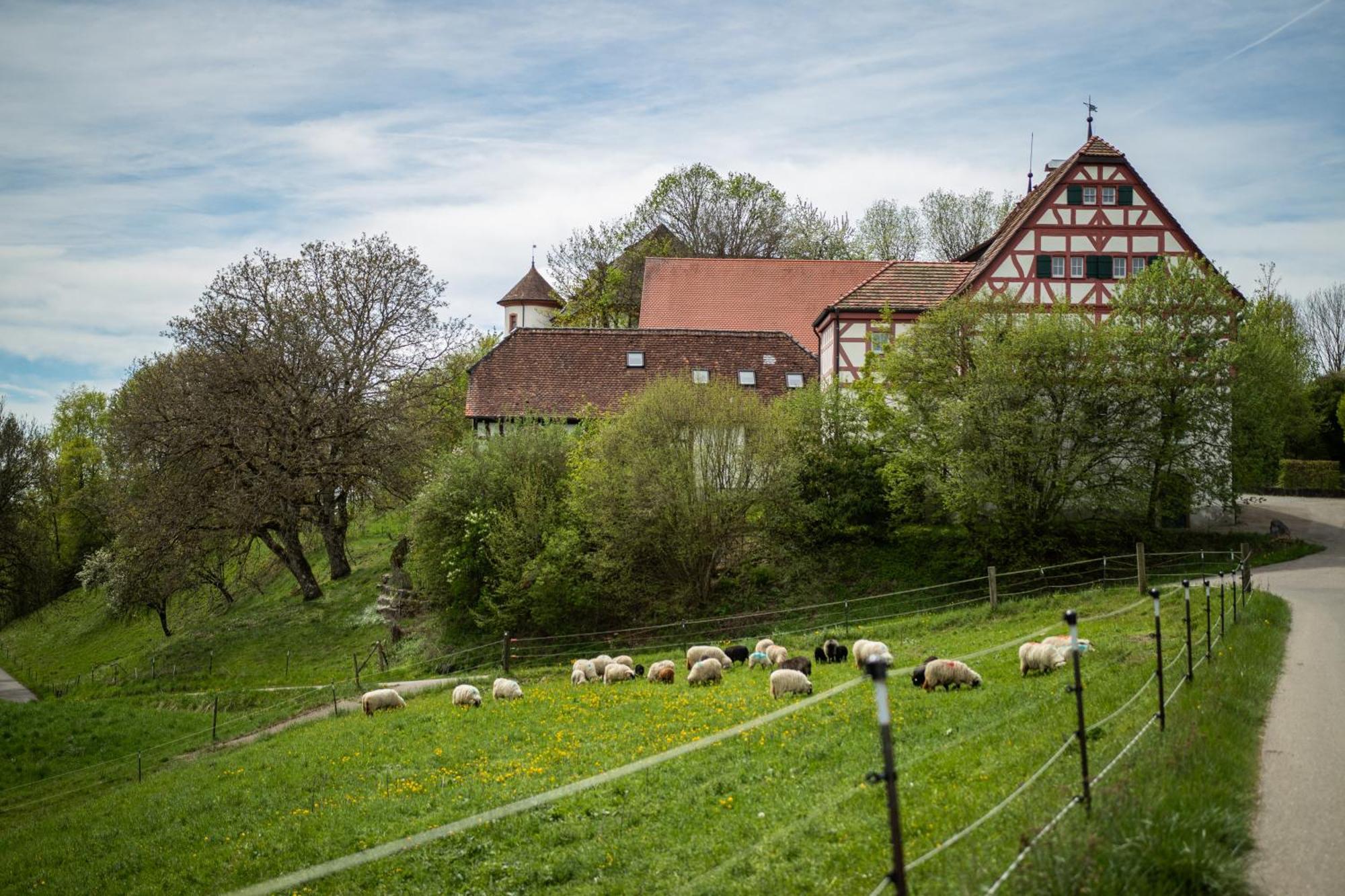Hotel & Tagungszentrum Schloss Hohenfels Hohenfels  Esterno foto